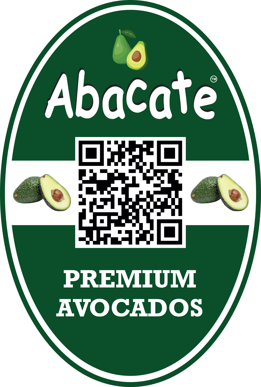 Avocado fruit importer in India