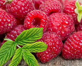 Raspberries Fruits